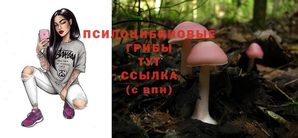 хмурый Алексеевка