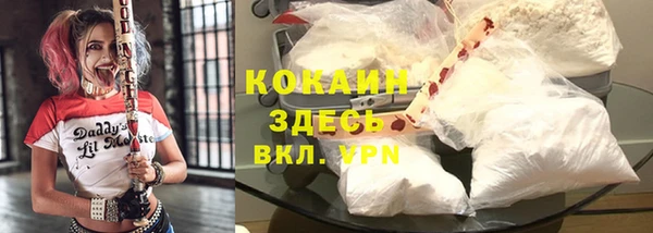 2c-b Алзамай