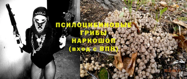 хмурый Алексеевка