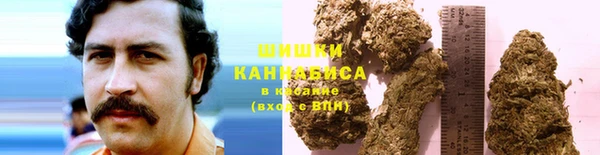 СК Абинск