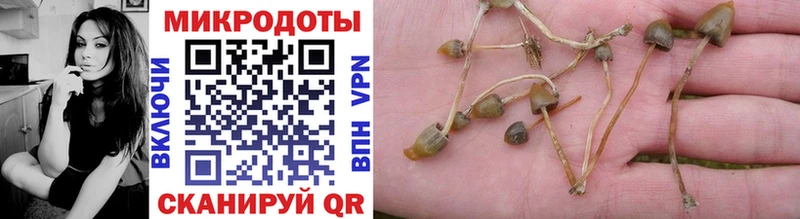 Псилоцибиновые грибы прущие грибы  Мещовск 